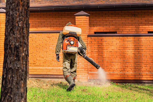 Bed Bug Clearance Verification and Documentation in La Habra